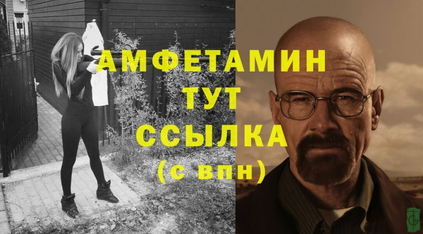 мет Алексин