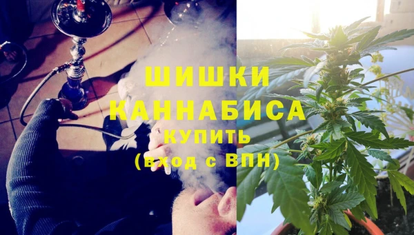 винт Алзамай