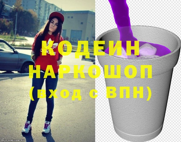мет Алексин